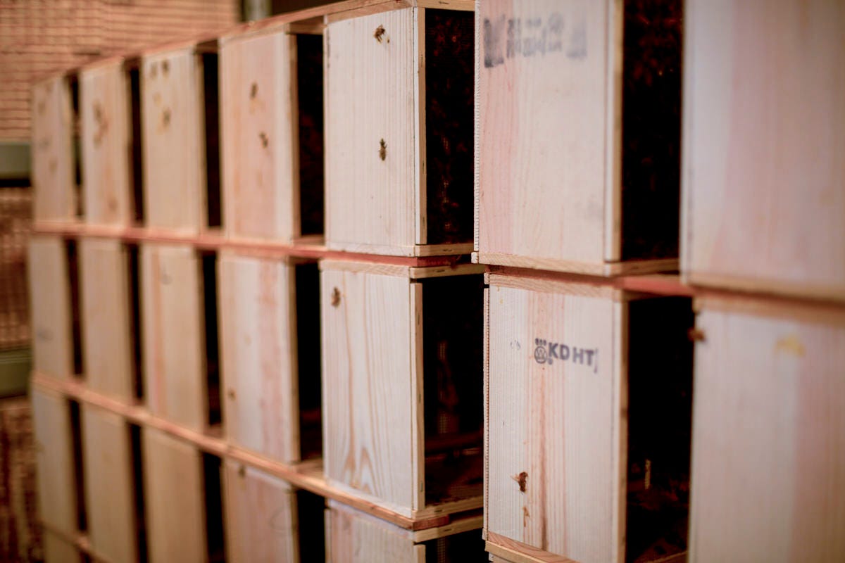 beekeeping in Seattle
