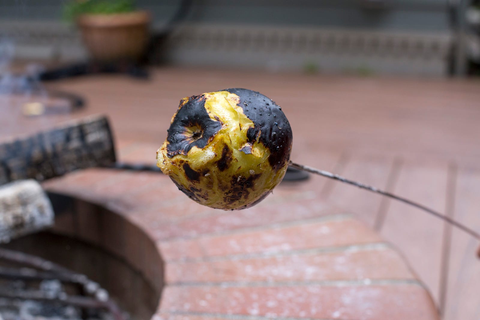 roasting apple in campfire