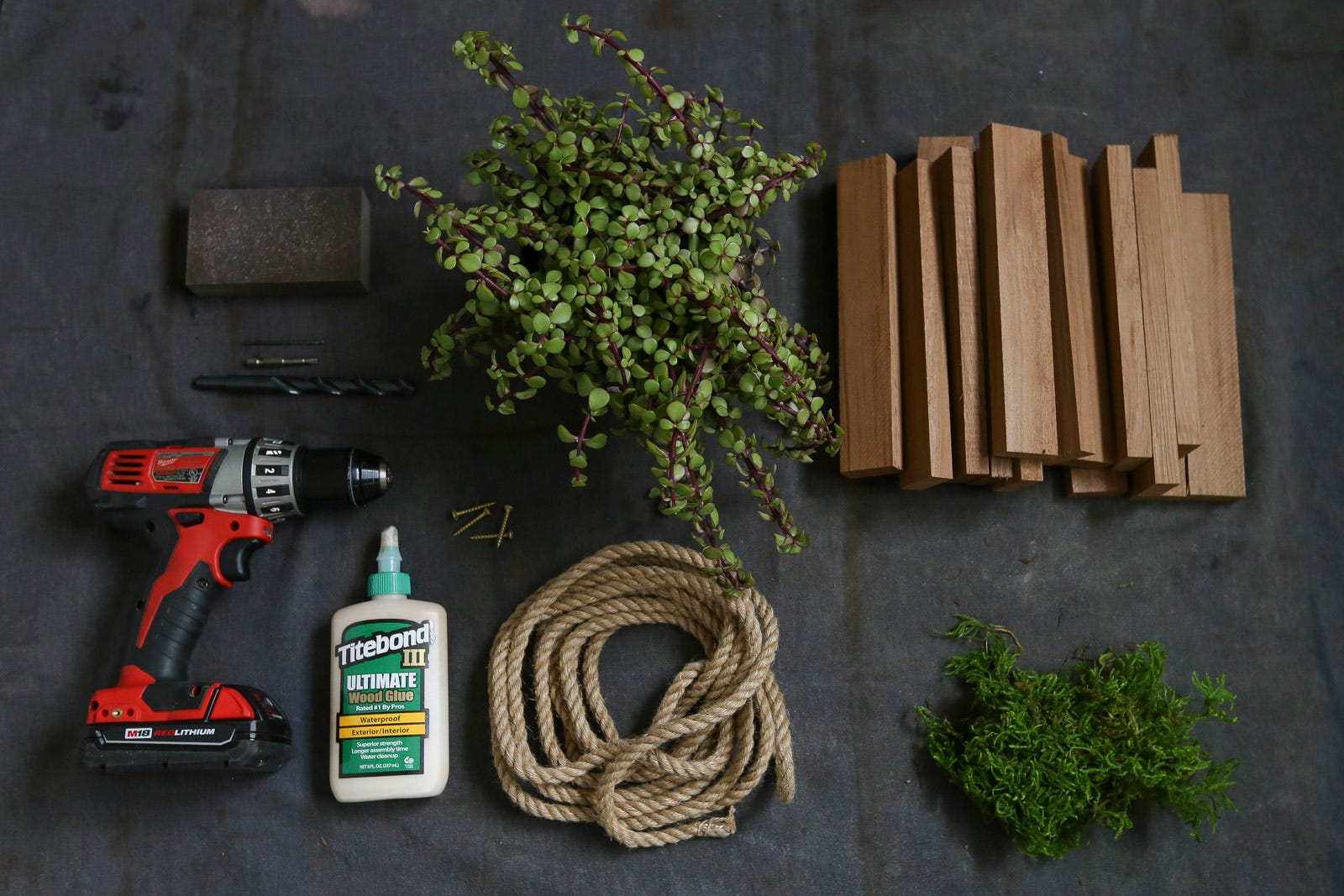 DunnDIY-SeattleWA-HangingPlanter-01.jpg#